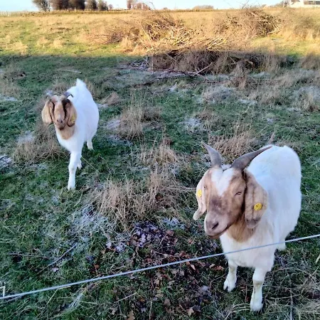 Oestermark Hébergement de vacances