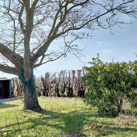 Oestermark Holiday home