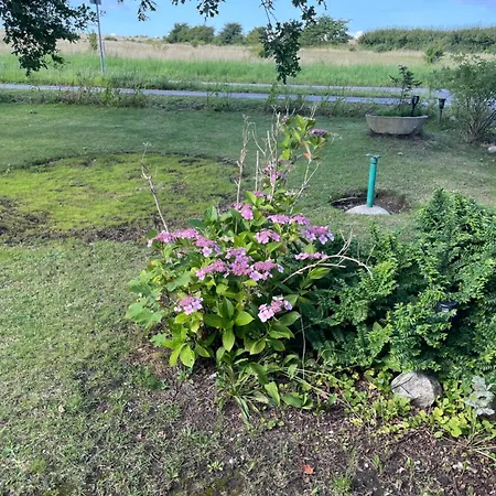 Oestermark Hébergement de vacances Ærøskøbing