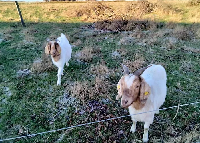 Oestermark Semesterbostad