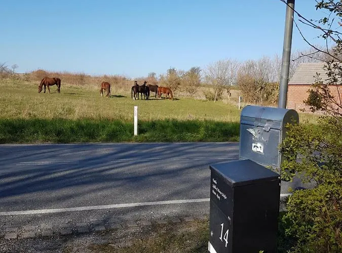 Semesterbostad Oestermark *